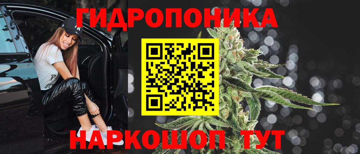 Бошки марихуана Bruce Banner  Вход с VPN  МАРИХУАНА LSD WEED  Марихуана марихуана  Чехов 